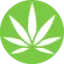doorbudgta.com favicon