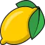 Etrosoft favicon