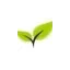 kilgoresrespiratory.com favicon