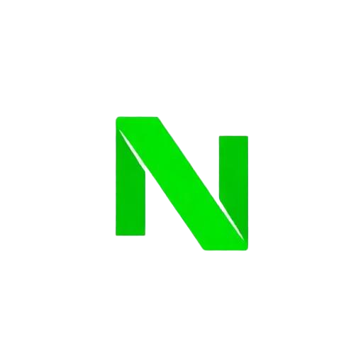 naptrisoft.com favicon