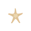 stelladimare.com favicon