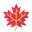 swimleaf.com favicon