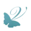 velobless.dk favicon