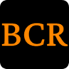 basscontrollismrecords.com favicon