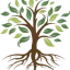 franksplanter.dk favicon
