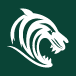 leicestertigers.com favicon