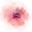 tamarindrestaurant.com favicon