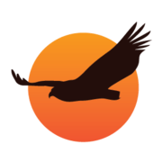 wild-wings-safaris.com favicon