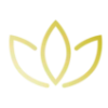 bamboo-spa.nl favicon
