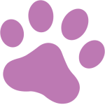 petstay.net favicon