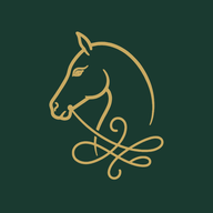reitspur.de favicon