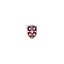 shieldltd.net favicon
