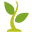 foundseed.com favicon