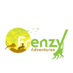frenzyadventures.com favicon