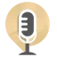 voiceart.live favicon