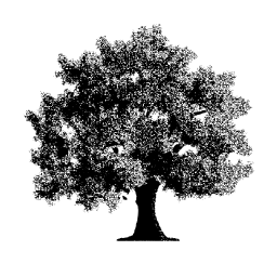 yewtree-allstretton.co.uk favicon