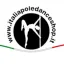 italiapoledanceshop.it favicon