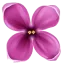 luxurygoldentriangle.com favicon