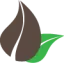 mondenaturel.ca favicon
