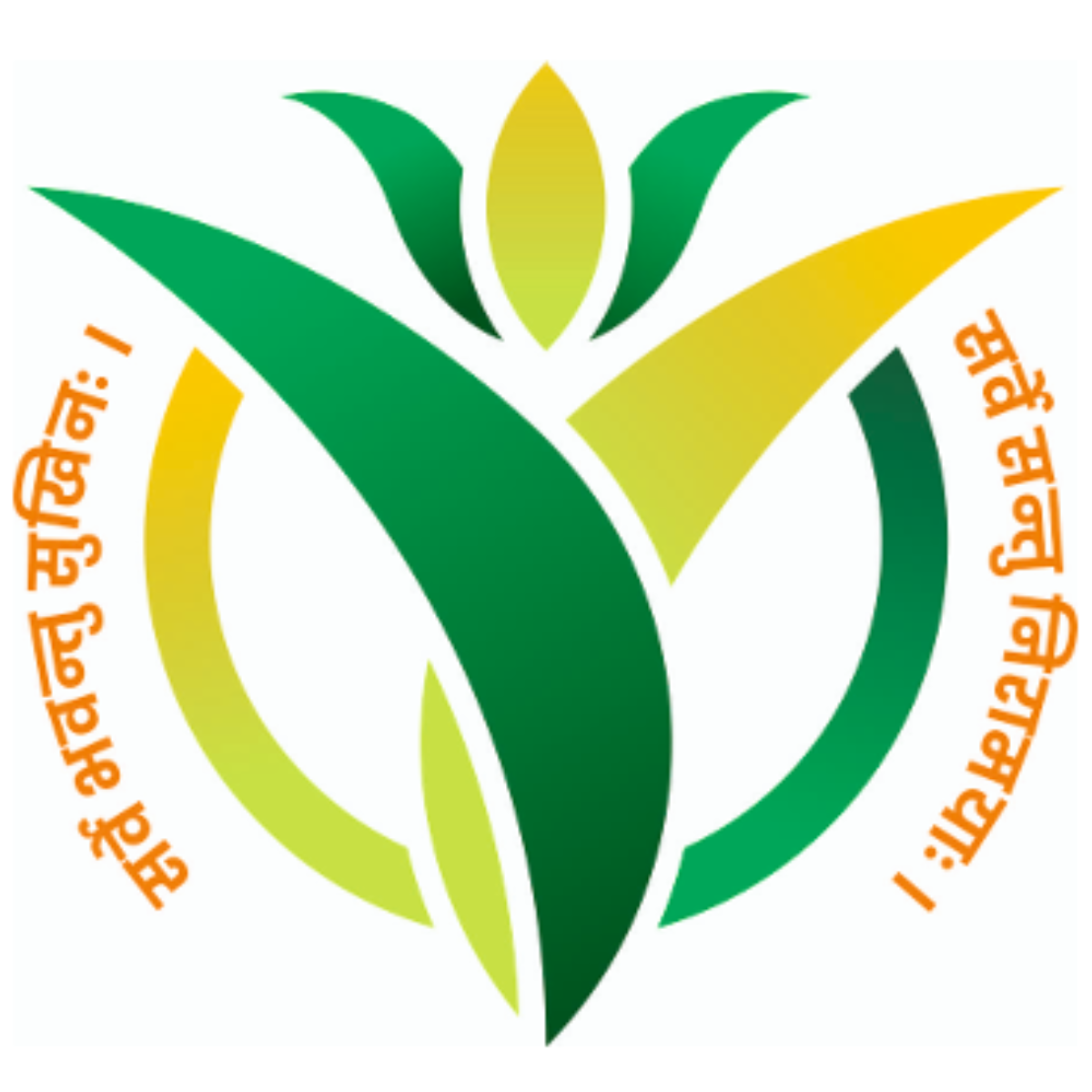 namoholisticwellness.com favicon