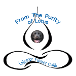 fromthepurityoflotus.nl favicon
