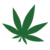 hashonlinecanada.com favicon
