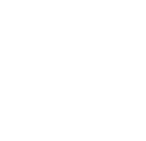 kippegie.nl favicon