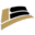 loyalsource.com favicon