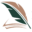 nomadicauthorsusa.com favicon