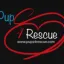 pups4rescue.com favicon