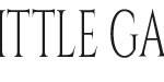 thelittlegarnet.nl favicon