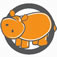 traveladventuresbotswana.com favicon