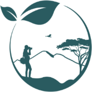 yourtravelnation.com favicon