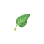 alydiet.fr favicon