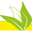curryleaves.dk favicon