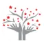maccorstratconsulting.com favicon