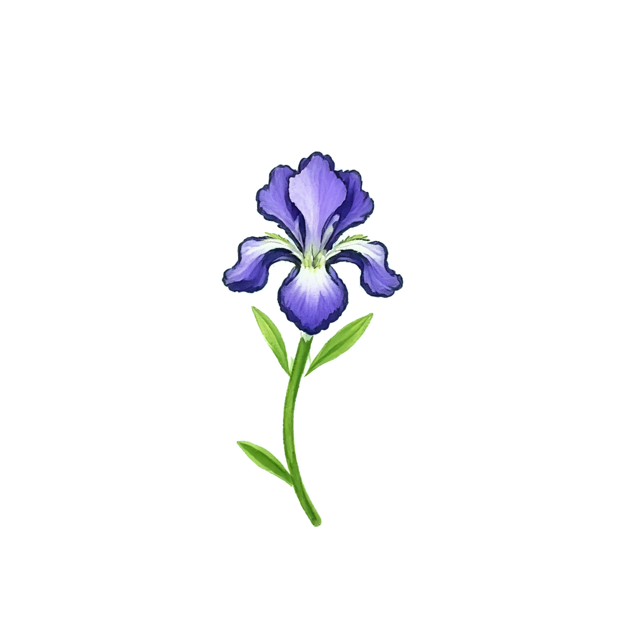 petalpouch.com favicon