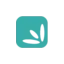 petitfashion.com favicon