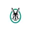 vaillant.se favicon