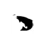 westernriversflyfishing.com favicon