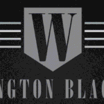 wilmingtonblackcar.com favicon