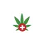 cannabilove.pl favicon