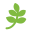 cbddrogist.nl favicon