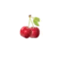 cherryscollection.se favicon