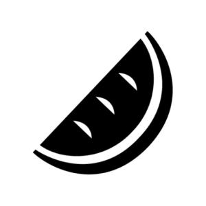 melonoptics.com favicon