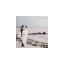 mikkellindfoto.dk favicon
