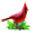 wagners.com favicon