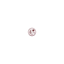 winefoodpuglia.com favicon