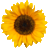 coachingsamenaandekeukentafel.nl favicon