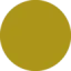 geoapp.mobi favicon